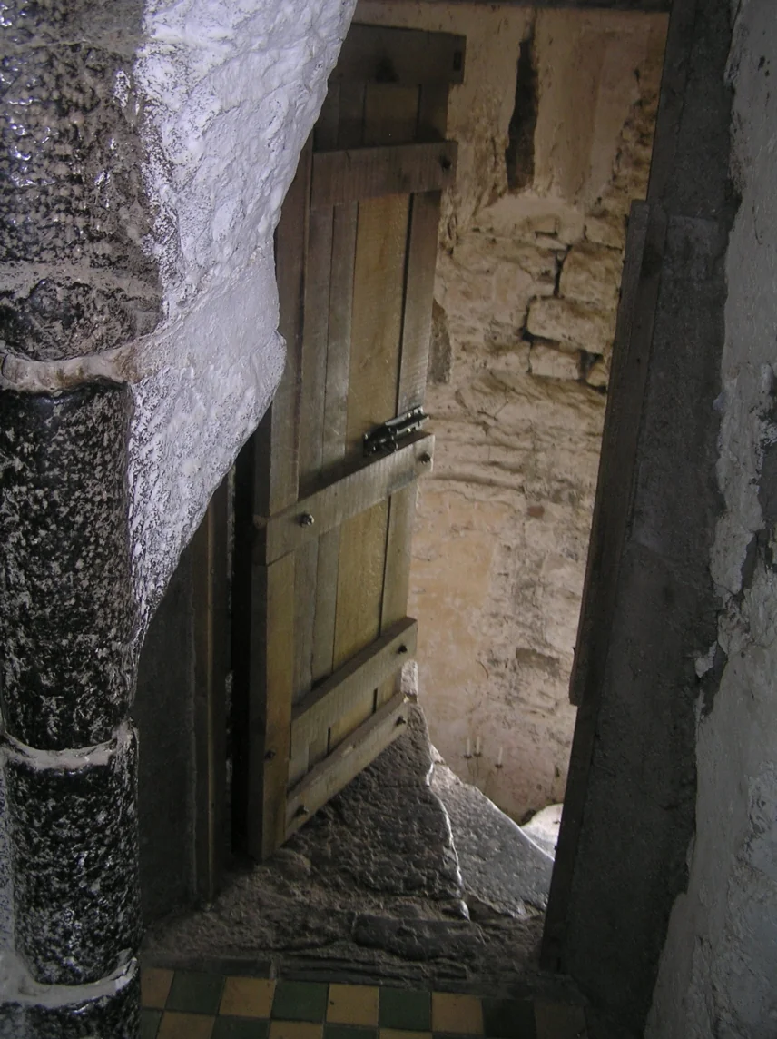 Original stairway at Leap Castle