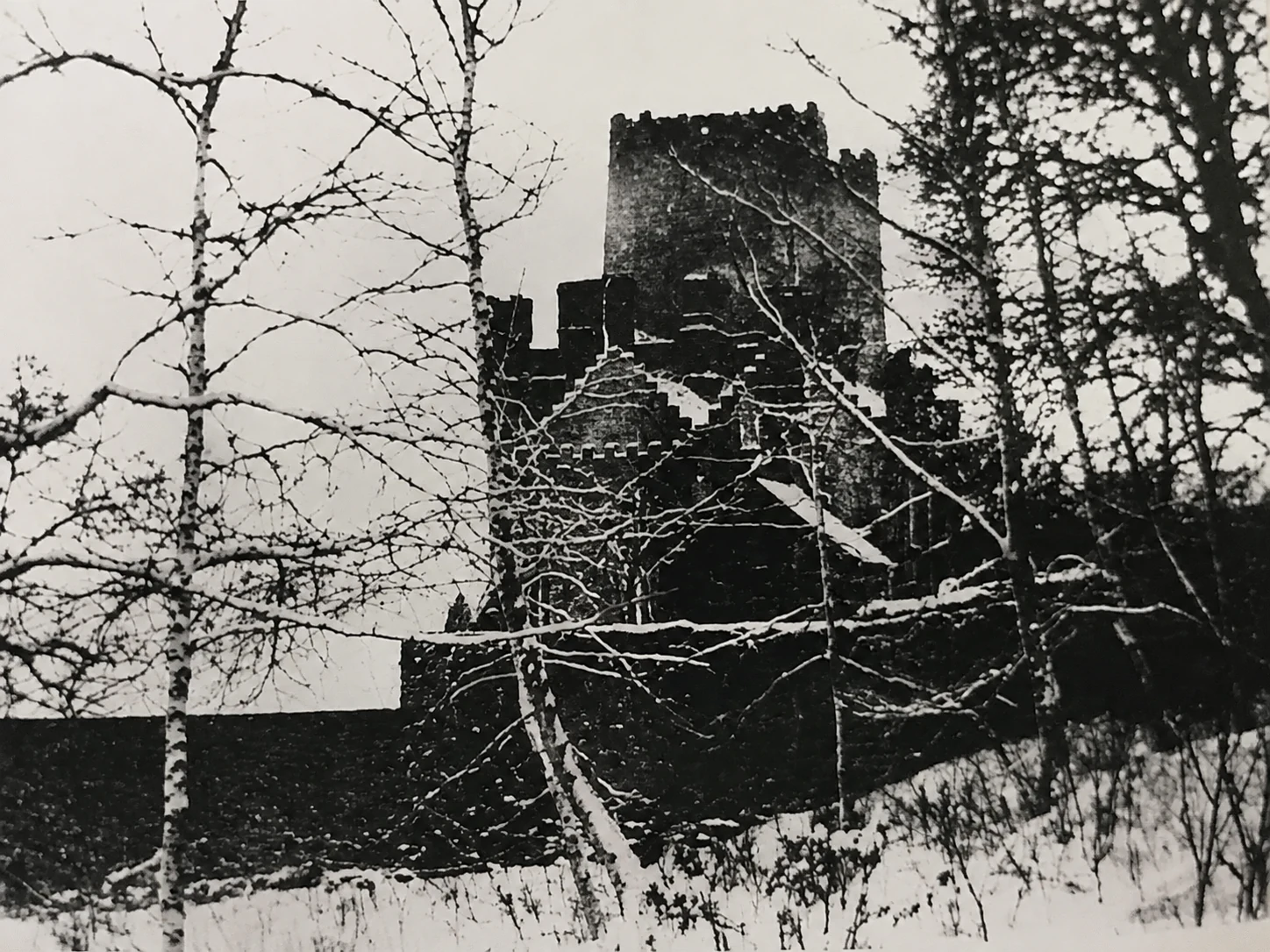 Historic northern winter view of Leap Castle